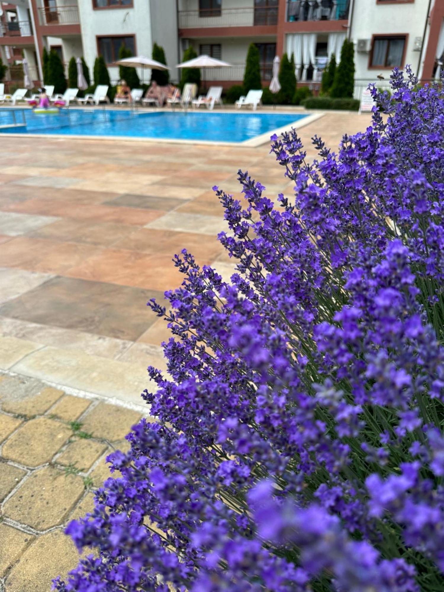 Panteli Apart House Aheloy ภายนอก รูปภาพ